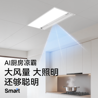 奥普 Smart LC301S 智能人感凉霸厨房照明二合一集成吊顶冷霸 尺寸300*600mm 颜色F166