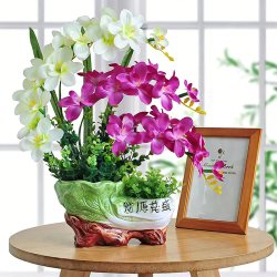 喜莱卡 蝴蝶兰仿真花绢花摆件 颜色分类：财源茂盛沧兰白紫混色