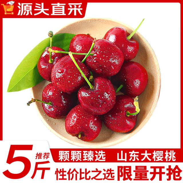 JDBMO 车厘子樱桃 整箱5斤单果20-26mm精品装