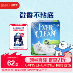 铂钻 EverClean膨润土猫砂除臭结团活性炭 微香型（小绿盒）5.4kg/6L 遇湿散香-绿盒-5.4kg