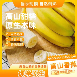京喜加 云南高山香蕉 带箱9斤 新鲜水果