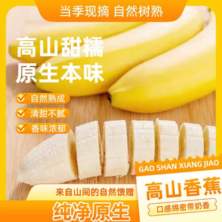 京喜加 云南高山香蕉 带箱9斤 新鲜水果