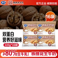 银桥 核桃花生红枣牛奶 220g*16袋 中老年端午节礼品营养早餐奶