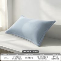 远梦 ZT2403 凉枕套 48cmX74cm 晴蓝_椰树
