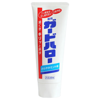 花王 大白日用组套 牙刷*1+牙膏165g