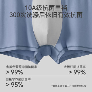 三枪 纯棉男内裤 A类母婴级抗菌茶多酚草本底档 3条装 XL