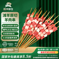滩洋鲜生 烧烤撒料 羔羊肉串  滩羊肉串60串 2.4斤 简装