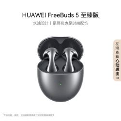 华为 FreeBuds 5至臻版 半入耳降噪蓝牙耳机超磁感澎湃单元 冰霜银