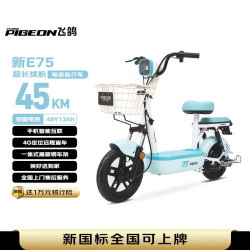 飞鸽 新E75 电动自行车 100328287962 48V13A