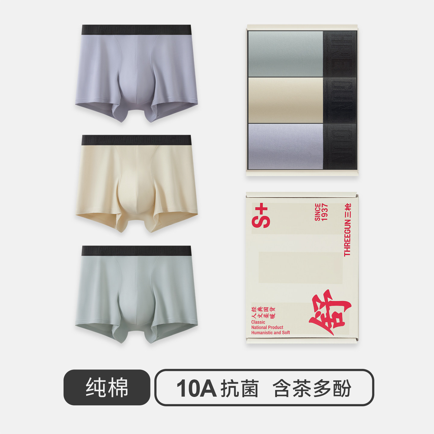 组合5：星河银+银叶杏+雾凇绿