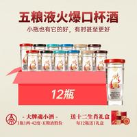 五粮液 42%vol 浓香型 50ml*12瓶