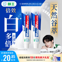 狮王 WhiteWhite倍效白牙膏薄荷180g+果萃180g美白檀健次同款