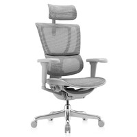 Ergonor 人体工学电脑椅 灰色+银白色