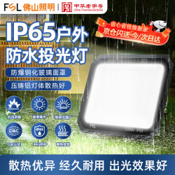 佛山照明 LED投光灯户外防水大功率工厂园林室外照明灯IP65防水等级泛光灯100W白光6500K-启凡二代系列