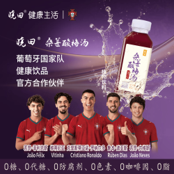晓田 桑葚酸梅汤365ml*16瓶