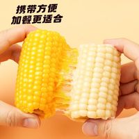 十月稻田 东北玉米段 免切软糯 杂粮
