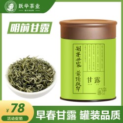 跃华茶 蒙顶甘露 特级 50g 罐装
