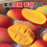 鲜宝道 海南贵妃芒果 净重3.5斤 单果100-200g