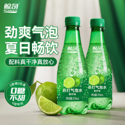 鲸奇 苏打气泡水 青柠味无糖苏打水 315mL*8瓶