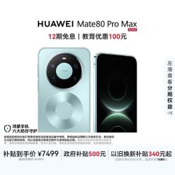 华为 Mate 80 Pro Max 手机 16GB+512GB 极光青