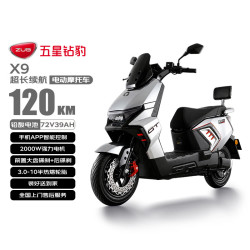 五星钻豹 大功率 电动摩托车  石墨烯电池 39Ah 72V