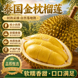 松筱 泰国金枕榴莲 2-3斤/个