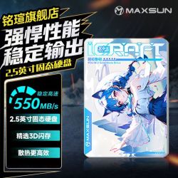 铭瑄 瑷珈妹妹128G SSD固态硬盘SATA3.0电脑通用X8固态硬盘