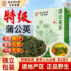 南同神州 蒲公英茶 一级 养生茶包