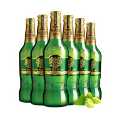 Augerta 1903 青岛啤酒 480ml*6瓶