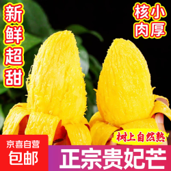 京东自营 正宗贵妃芒芒果应季新鲜水果果70-100g｜