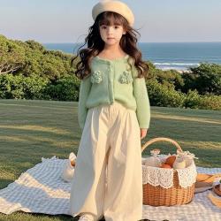 笛莎 婴幼女童毛衣秋儿童休闲百搭含毛外套