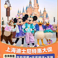 迪士尼早鸟1大+接送D