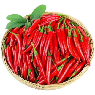 京鲜生 新鲜小米辣 500g