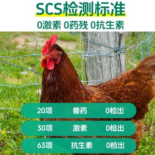 大用好味道 老母鸡 整只 10-15cm