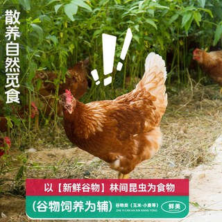 大用好味道 老母鸡 整只 10-15cm