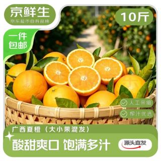 京鲜生 广西夏橙榨汁橙净重10斤 大小果混发 源头直发包邮