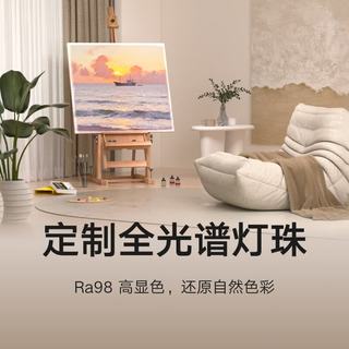 MIJIA/米家 吸顶灯Pro超薄一室一厅套装 护眼主灯