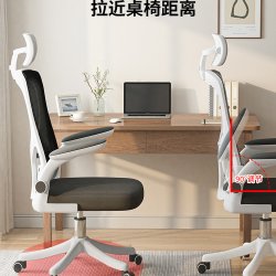 源善 人体工学电脑椅
