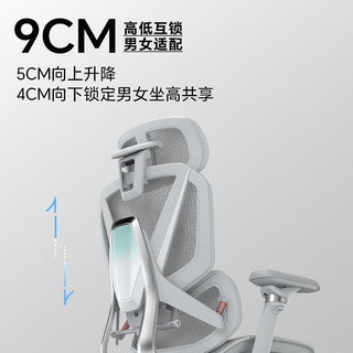 ENOVA 乐瓦合金大师2代 人体工学电脑椅