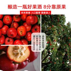 誉宾 需首单：通化 山楂酒 1瓶 500ml