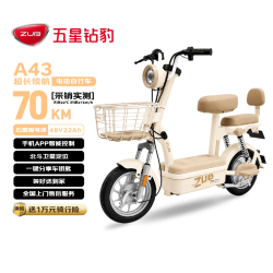 五星钻豹 长续航 电动自行车 燕麦棕