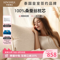 钱皇 芯芯相印枕芯100%桑蚕丝 60支全棉面料蚕丝净重2斤  48*75cm 单只