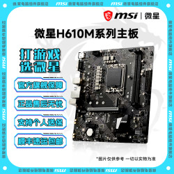 微星 主板h610m主板台式组装电脑主板支持 12100 12400F 13400