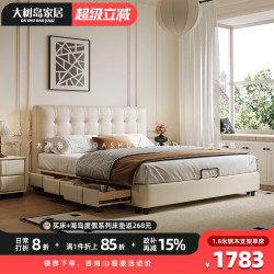 大树岛家居 储物 双人床 钢木排骨架  升级版单床 支架结构1800mm*2000mm