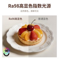 德力西 中古风LED全光谱吸顶灯