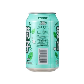 依能 薄荷口味 低糖 330ml*24罐 果汁气泡水
