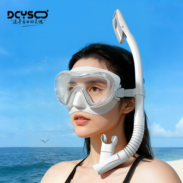 Dcyso SV3 浮潜面罩潜水镜成人防雾面罩全干式呼吸管装备