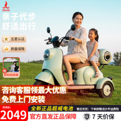 PHOENIX 甲壳虫三轮车电动车三轮小型电动车家用小型轻便女士休闲电瓶车 裸车+不含电池充电器
