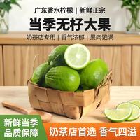 颜小荭 海南无籽青柠檬  3斤中果（约60-80g)爆香