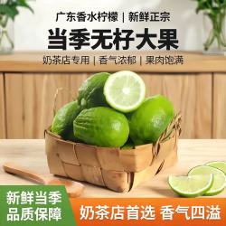 颜小荭 海南无籽青柠檬  3斤中果（约60-80g)爆香